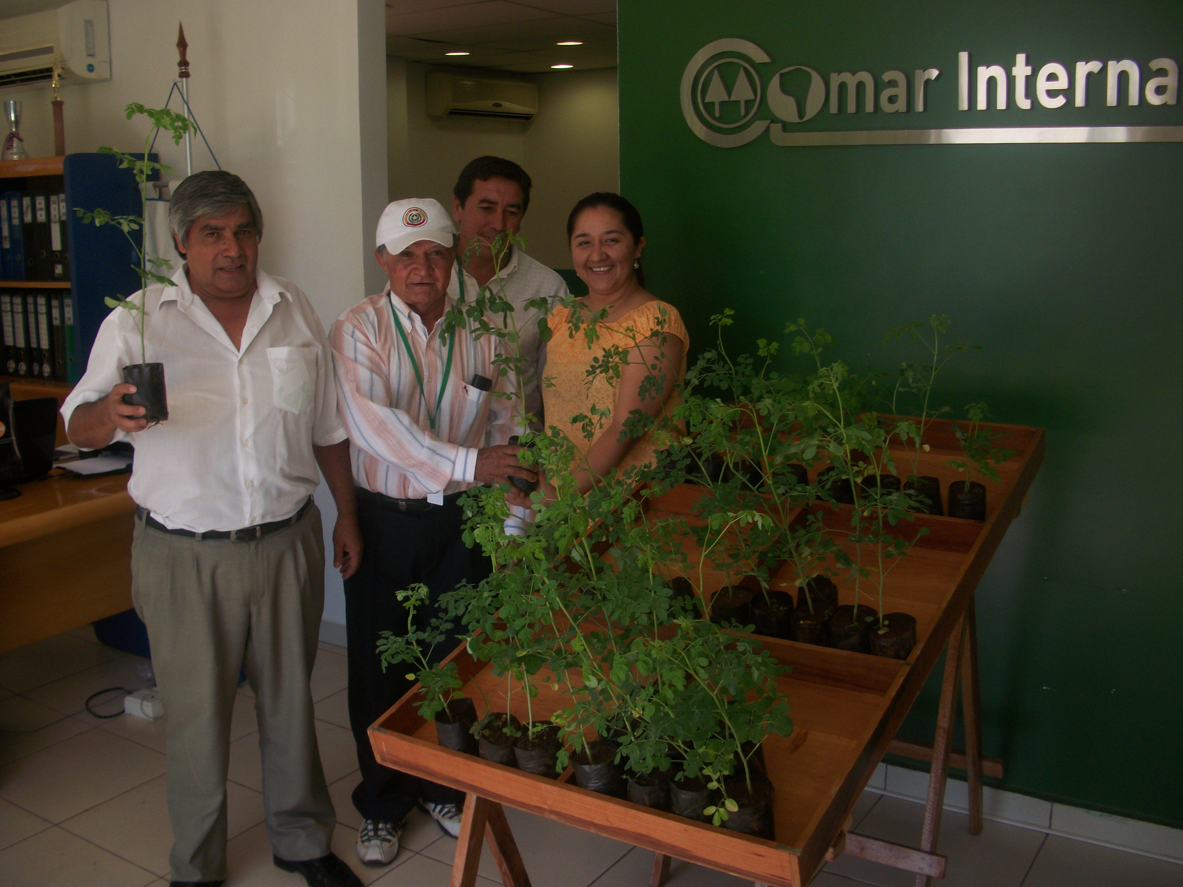 Entrega de Plantitas
